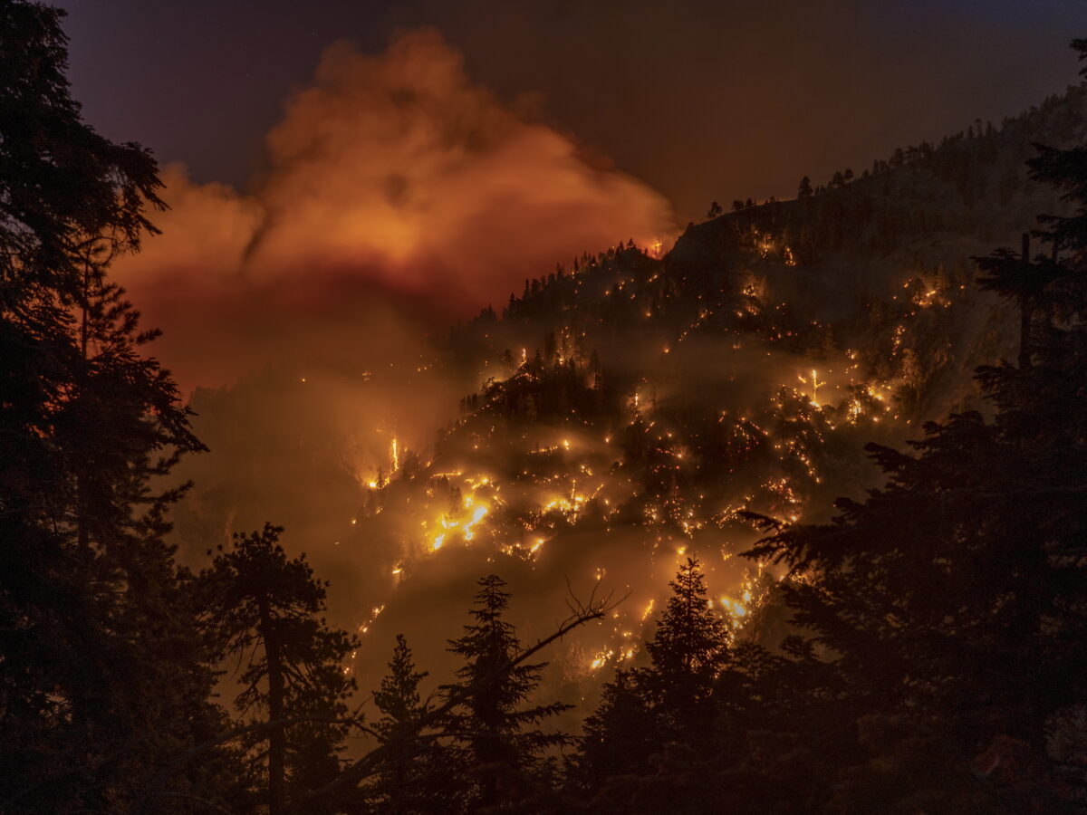 Más de 8 mil hectáreas de bosque han sido destruidas por el fuego en California