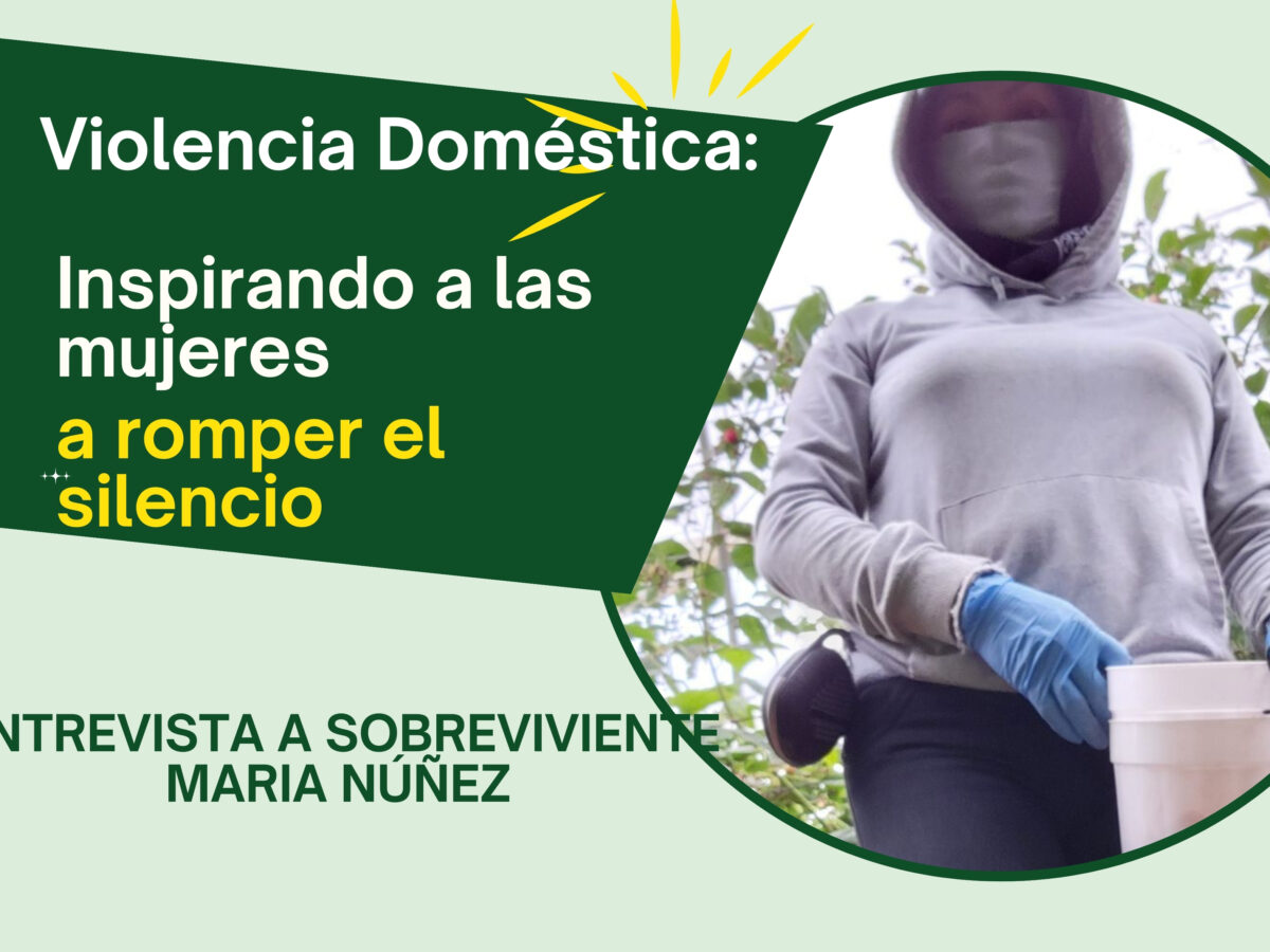 Inspirando a las mujeres a romper con el ciclo de violencia doméstica